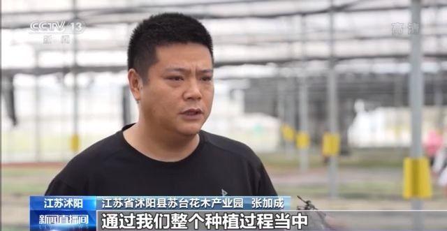 探访苏北第一县 看“颜色经济”如何助力沭阳跻身“千亿俱乐部”