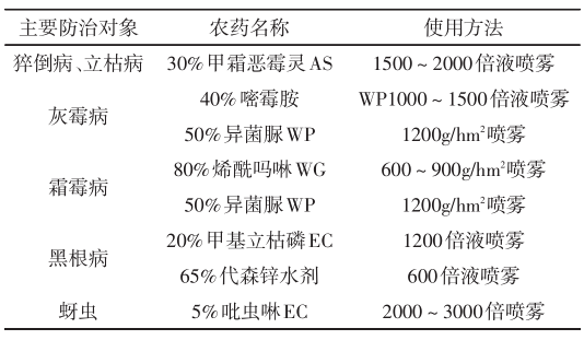 西兰花优质安全高产栽培技术