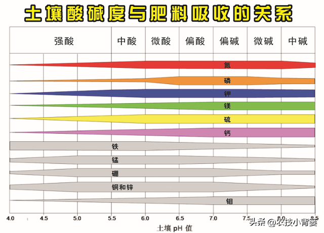 蓝莓栽培实用技术（二）：如何选地改土、满足冷温量、培养菌根？