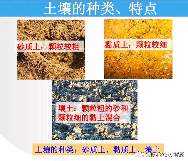 黏质、沙质、壤质的土壤差别大，“看地施肥”才能显著提高肥效