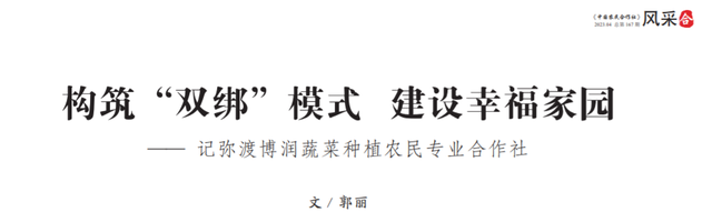 构筑“双绑”模式 建设幸福家园——记云南省弥渡博润蔬菜种植农民专业合作社