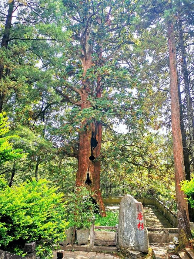 大理：金庸江湖里的段氏皇族、天龙寺与无量山究竟在哪里？