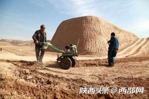 山坡种植果树(荒山变果园 吴堡李家河村打造千亩山地苹果基地)