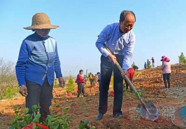 请来“土专家”，学种“摇钱树”罗山县找对“路子”种油茶谋振兴