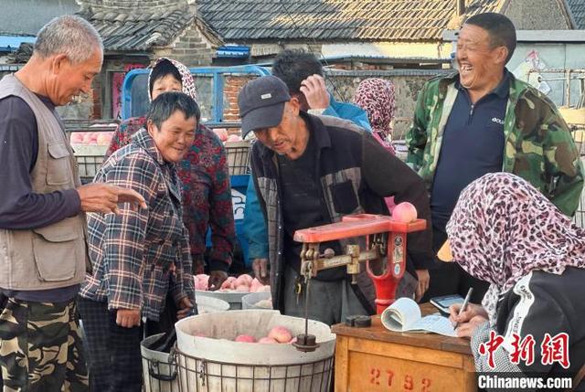 山东烟台：苹果飘香果农乐