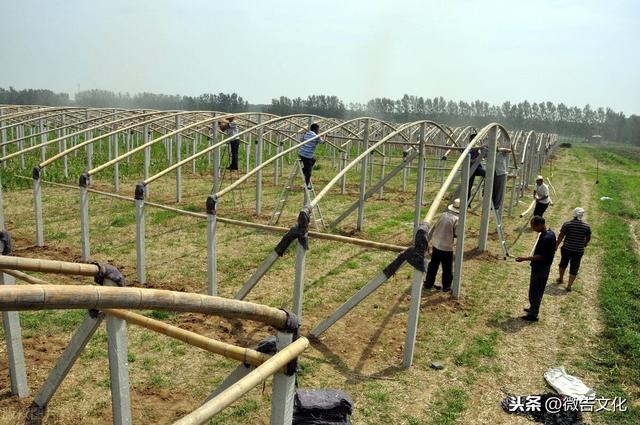 畜禽养殖场、蔬菜大棚等没有规划许可证，算违建吗？