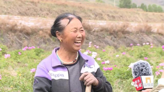 平鲁区：大山里的白芍开出“致富花”