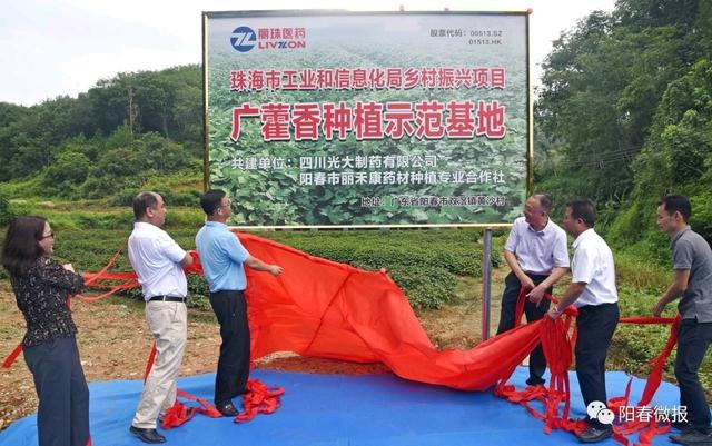 阳春市双滘镇黄沙村广藿香种植基地挂牌成立