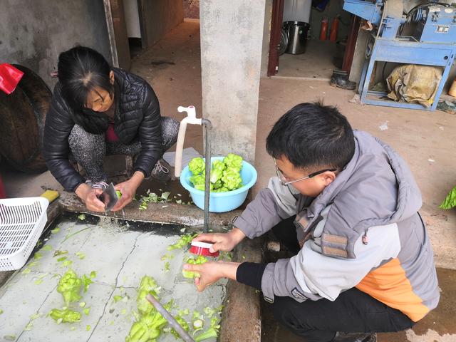 儿菜这样做太好吃了，咸鲜爽脆解油腻，妈妈腌制了一坛子