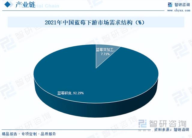 干货分享！2023年中国蓝莓市场发展概况及未来投资前景预测分析