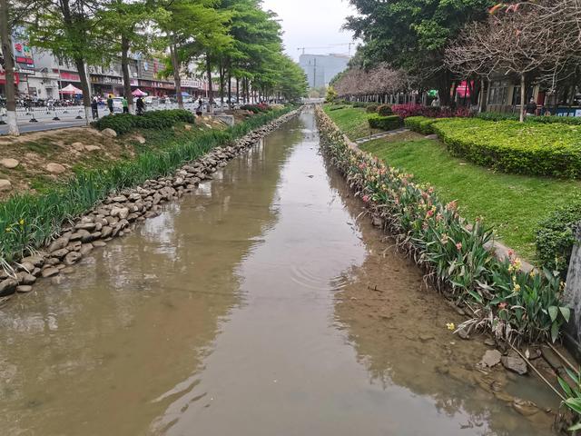 水生植物栽培方案及标准