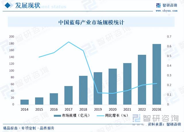 干货分享！2023年中国蓝莓市场发展概况及未来投资前景预测分析