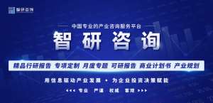 蓝莓种植可行性报告(干货分享2023年中国蓝莓市场发展概况及未来投资前景预测分析)