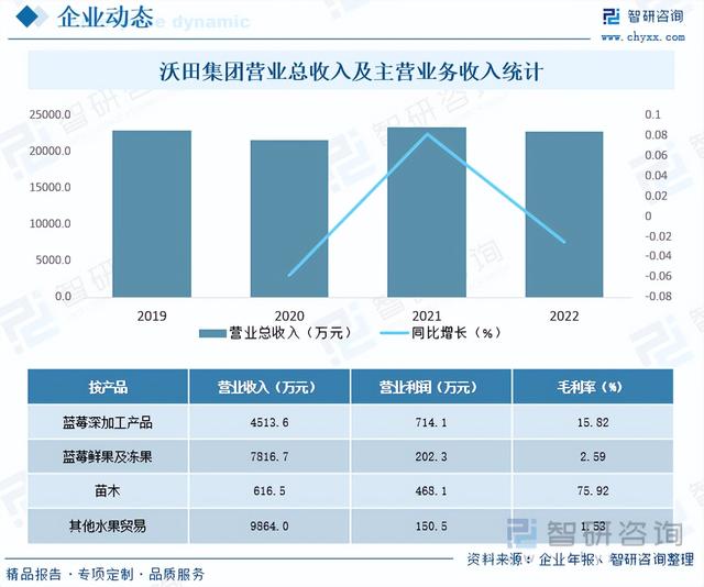 干货分享！2023年中国蓝莓市场发展概况及未来投资前景预测分析