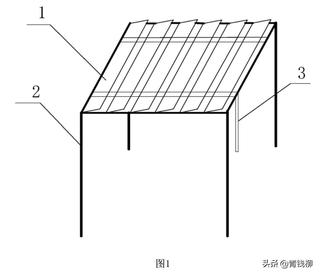 南方低海拔高湿地区的藜麦高效栽培技术