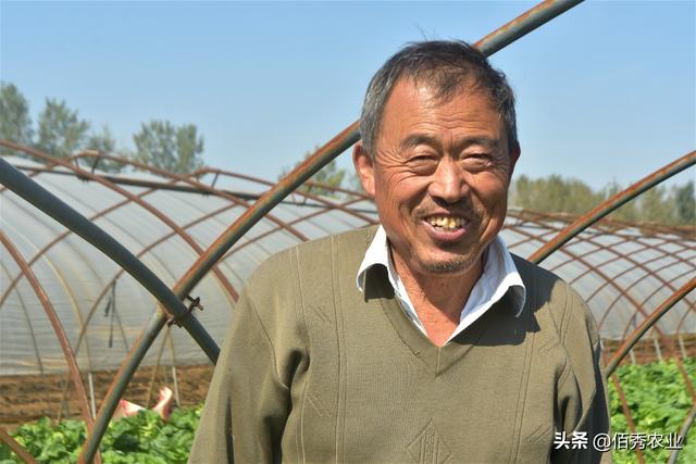 农村老人的幸福生活，种植2亩蔬菜，每年收入3万元活得有尊严