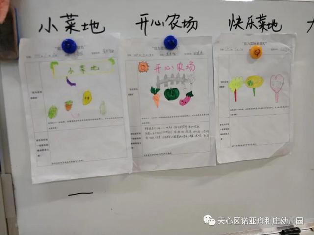 「园所动态」“我为种植园取名字”——诺亚舟和庄幼儿园