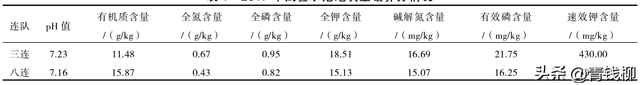 学习北疆夏黑葡萄优质栽培技术的关键步骤