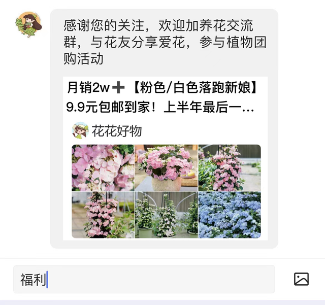 苹果也能种盆栽，阳台种一盆，结出果子挂满枝！