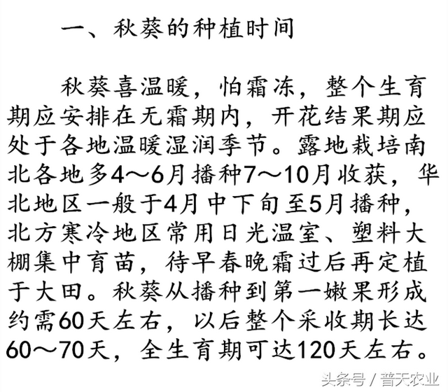 秋葵什么时候播种最好？秋葵的种植时间和种植条件