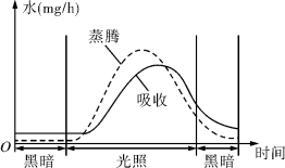 中考试题汇编，七年级生物上册《生物圈中的绿色植物》质量检测