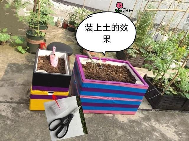 乐夕：楼顶阳台种菜，试试这样自制免浇灌种菜箱，一个月不用浇水