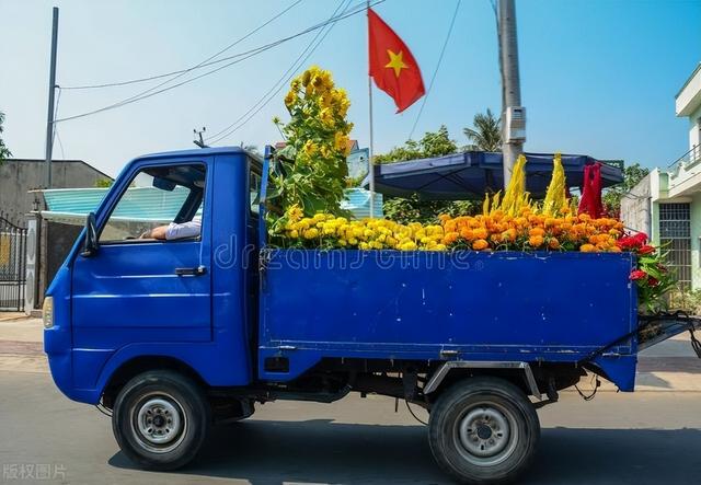 时令花卉栽植施工方案