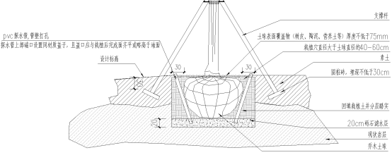 园林专家心得一列三｜苗木种植高要求