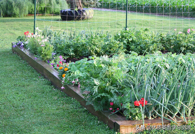 英语原版阅读：Gardening