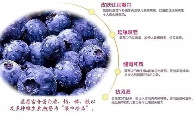 80大叔花20年破解蓝莓密码，种植万亩年产1亿，带两千多农民致富