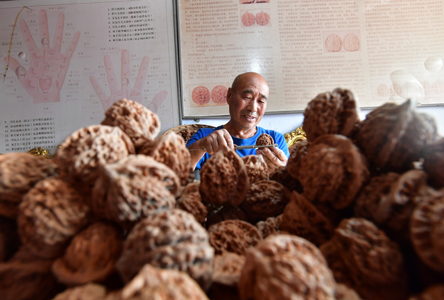 北京大叔躲进深山十年种核桃，一棵树年入9万，文玩核桃听过吗？