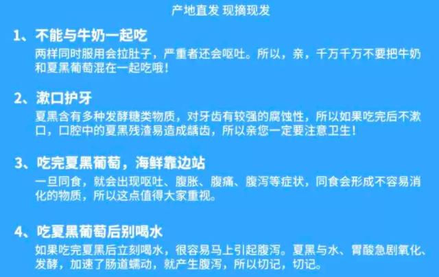 太甜啦！冬季上市高端无籽黑提，一口一个，好吃到根本停不下来！