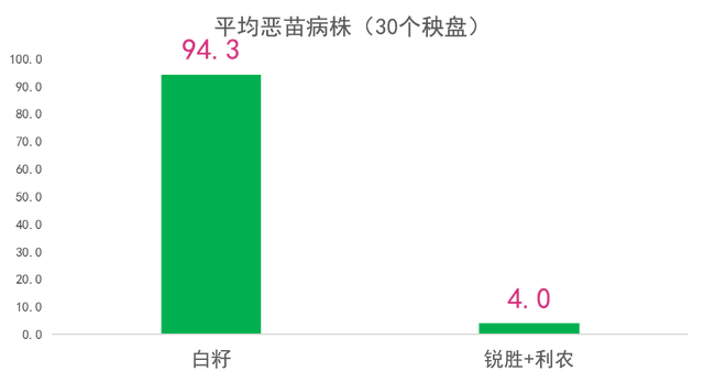 好种育壮秧，壮秧一半谷！这种高产水稻育秧方法，你见过吗？