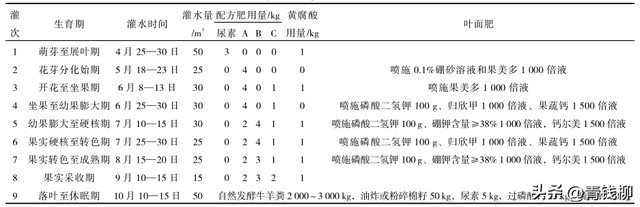 学习北疆夏黑葡萄优质栽培技术的关键步骤