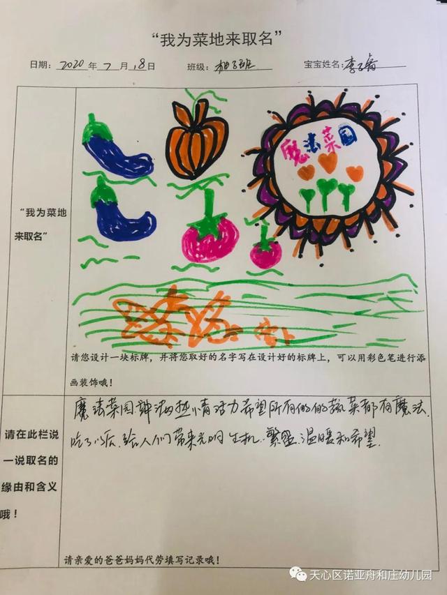 「园所动态」“我为种植园取名字”——诺亚舟和庄幼儿园