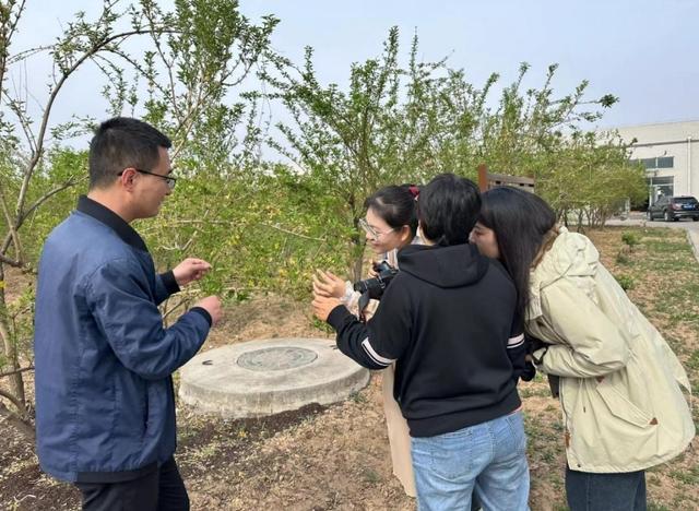 以岭药业：十万亩连翘种植基地成为村民致富“黄金钥匙”