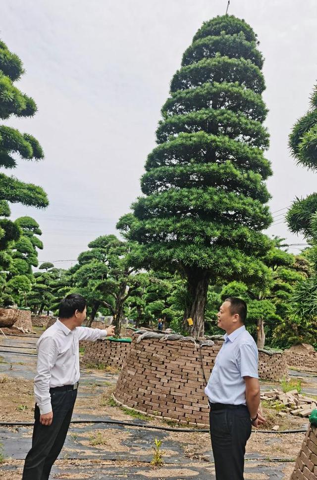 金华成泰农商银行发放首笔苗木抵押贷款 破解苗木行业融资难题