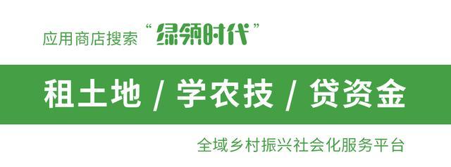 不是所有农村大棚房都是违建，3种情况，放心使用