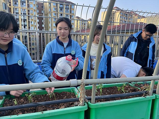 种植季，成都市熊猫路学子播下希望的种子，收获成长的快乐