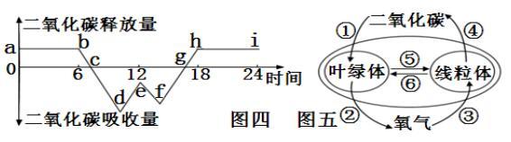 中考试题汇编，七年级生物上册《生物圈中的绿色植物》质量检测