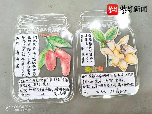 「爱上劳动课⑦」种药苗、识百草！无锡市春城实验小学“灵草园”开园啦