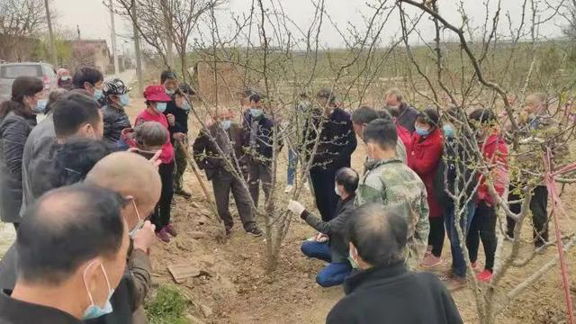 蒲城县罕井镇武仪村组织开展花椒种植技术培训会