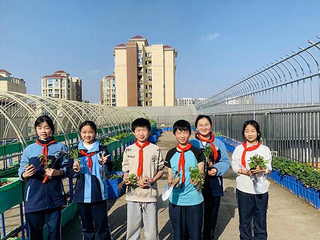 种植季，成都市熊猫路学子播下希望的种子，收获成长的快乐