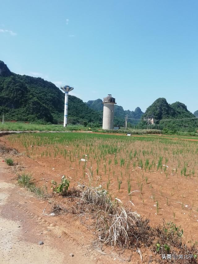 广西南宁市隆安县通乔公路旅途，深山里竟有大量九层皮