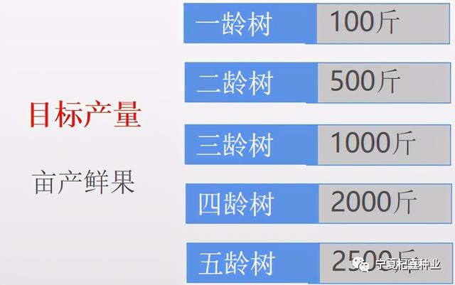 “良种+良方”枸杞高效种植模式，高产稳产不是梦