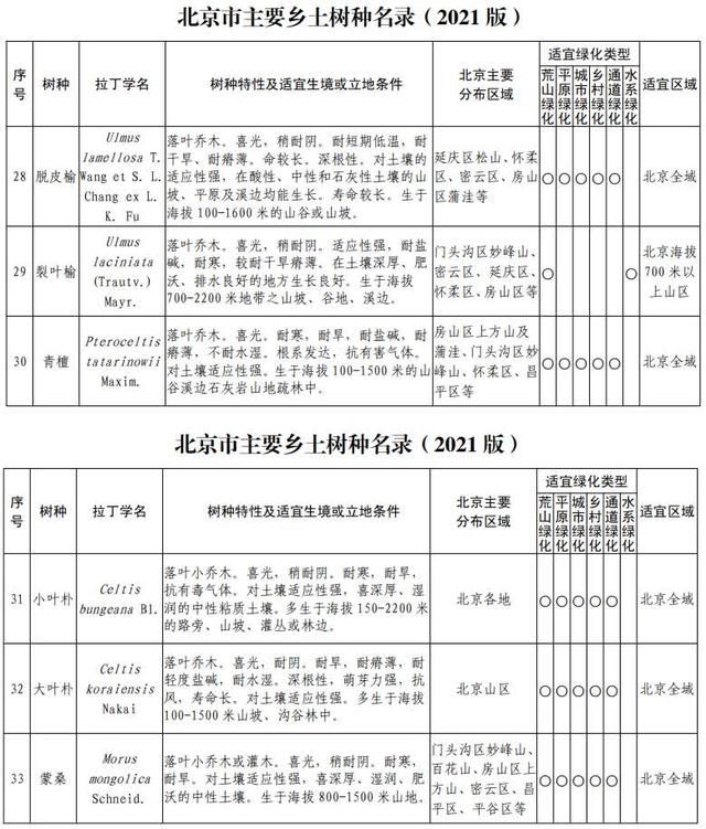 你知道北京有多少种树吗？一起来看