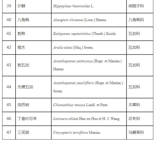 你知道北京有多少种树吗？一起来看