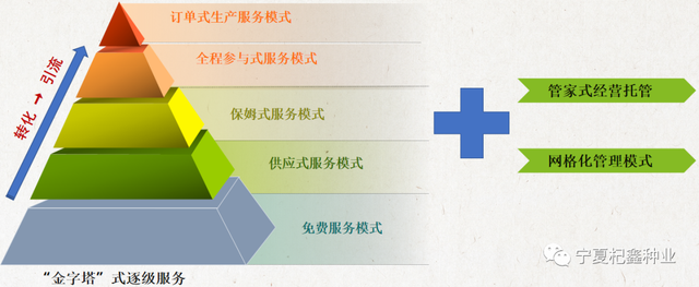 “良种+良方”枸杞高效种植模式，高产稳产不是梦