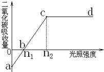 中考试题汇编，七年级生物上册《生物圈中的绿色植物》质量检测