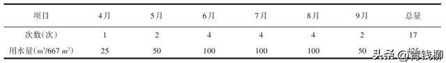 百日草直播栽培技术